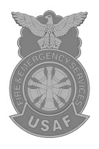 USAF - FES (silver center)